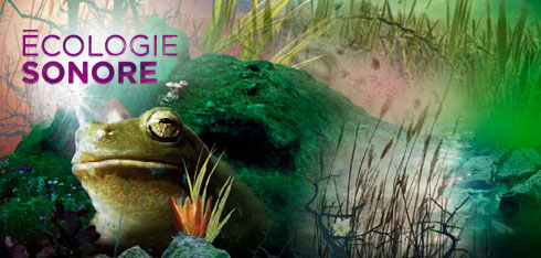 Ecologie sonore